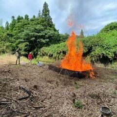 放置竹林整備をしませんか。