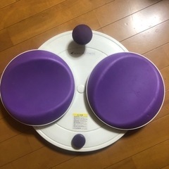 (決まりました)ディノスで購入　エアロライフフラコアディスク美腰...