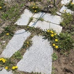 敷石グレー文章よんでください。。それでもほしい方の画像