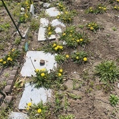 敷石グレー文章よんでください。。それでもほしい方の画像