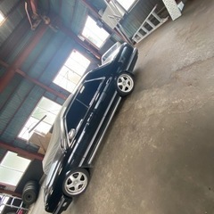 y31シーマの画像