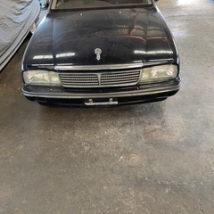 y31シーマの画像