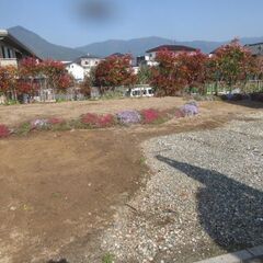 福岡便利屋、庭石徹去、植木徹去、格安、ユンボ作業