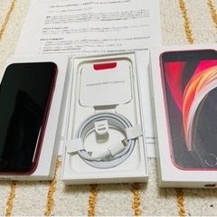 ロンハーマン別注the beautiful エブリデイパンツグレー