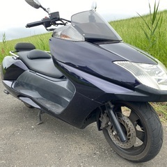 YAMAHA ヤマハ MAXAM マグザム SG17J 今では希...