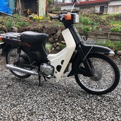 ＜商談中＞マッドブラックなスズキ バーディー50４スト 便利なセル付きの画像