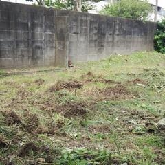 お家、実家等の草刈り等のお手伝い致します(^^)