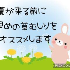 家事代行サービス　草むしりキャンペーン