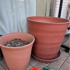 植木鉢大きめ