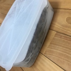 冷凍コオロギ　1kg