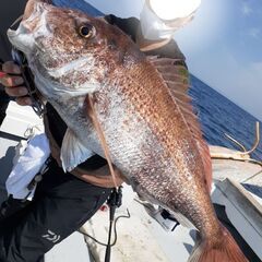 タイラバ・ジギング🎣メンバーを探してます❗