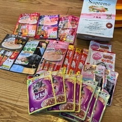 子猫用メイン　チュールandフードの画像