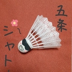 4月26日バドミントン