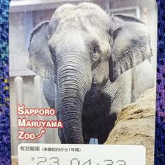 円山動物園　大人1枚