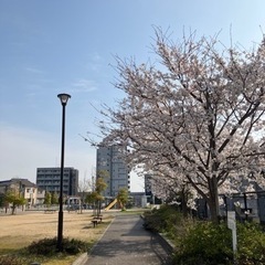 福井で朝活しましょう！🌸🌸