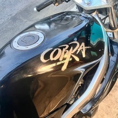 脅威の45ps SUZUKI コブラの画像