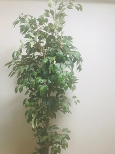 【お渡し決定】人工観葉植物✨