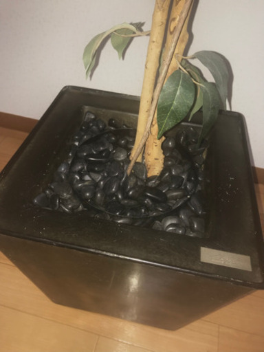 【お渡し決定】人工観葉植物✨