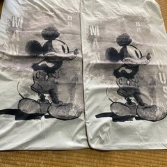 カインズ　フラッティカバー２枚セット
