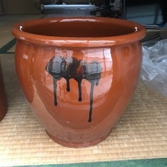 美品カメ茶塗りとても存在感あり