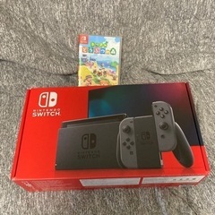 ニンテンドースイッチ　どうぶつの森ソフト付き