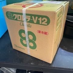 【華めだか大阪】超新鮮 5/10製造分 工場直送国産ワンコイン生クロレラ 100mlの画像