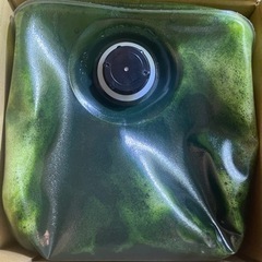 【華めだか大阪】超新鮮 5/10製造分 工場直送国産ワンコイン生クロレラ 100mlの画像
