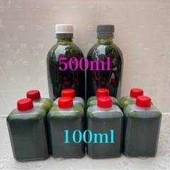【華めだか大阪】超新鮮 5/10製造分 工場直送国産ワンコイン生...