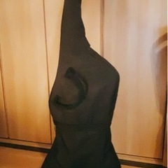 売約済み☆ノーブランド? エクスプローラーモデルの画像