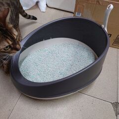 猫用トイレの画像