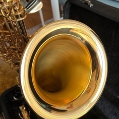 YANAGISAWA 　ヤナギサワ　テナーサックス　T-WO1の画像