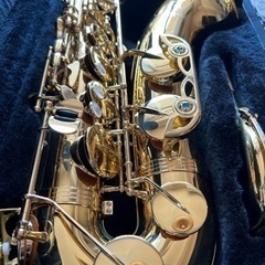 YANAGISAWA 　ヤナギサワ　テナーサックス　T-WO1の画像