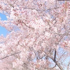 12日15時〜小田部カラオケ♫