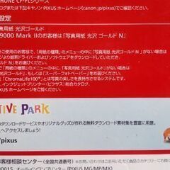 A4 キャノン写真用紙 長期保管品の画像