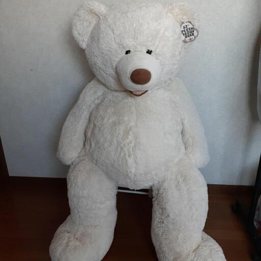 大きめクマぬいぐるみ