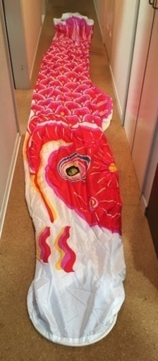 売却済　鯉のぼり　こどもの日