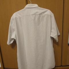 ユニクロ  メンズ  半袖シャツの画像