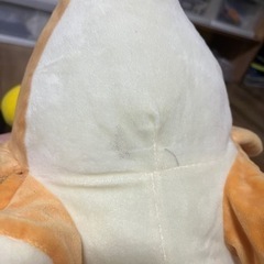恐竜ぬいぐるみ決まりましたの画像