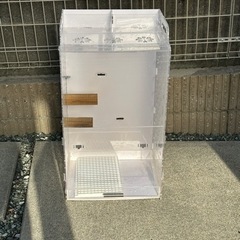 フクロモモンガの中古が安い！激安で譲ります・無料であげます