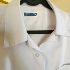 中学生　夏シャツの画像