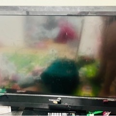 東芝　テレビ