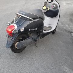 ホンダ　50ccの画像
