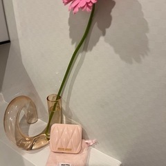 ミュウミュウ　miumiu
