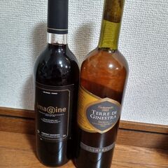 ワイン・果実酒2本セット