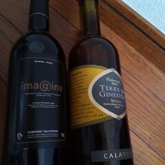 ワイン・果実酒2本セットの画像