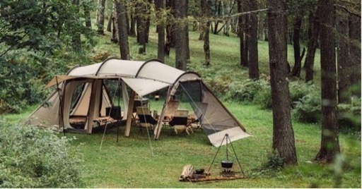 アルニカ サンドストーン