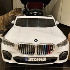 パパイヤナイン bmw x5 プッシュカー 푸쉬카 push car 乳母車