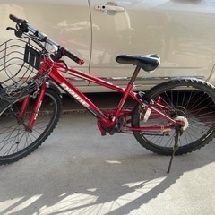 自転車 マウンテンバイク 子ども ドライドS3 246