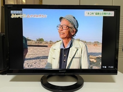 SHARP テレビ