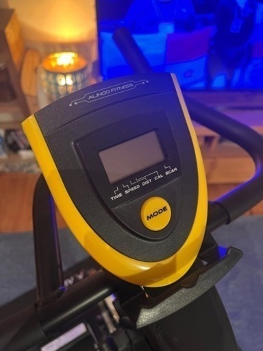 【超美品】アルインコ スピンバイク BK1518Y 専用マット付